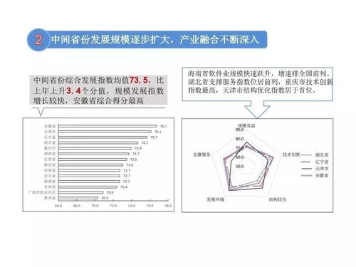 2019年中國軟件和信息技術(shù)服務(wù)業(yè)綜合發(fā)展指數(shù)報(bào)告發(fā)布 基礎(chǔ)軟件與技術(shù)服務(wù)成焦點(diǎn)