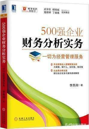 外企財(cái)務(wù)達(dá)人詳解財(cái)務(wù)分析 從業(yè)務(wù)出發(fā)，理論實(shí)務(wù)結(jié)合助力500強(qiáng)企業(yè)管理
