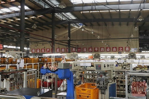 再造一個新川環(huán) 大竹川環(huán)科技擴(kuò)能建新廠，科技中介服務(wù)賦能產(chǎn)業(yè)升級